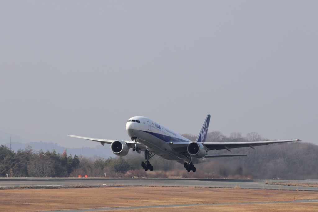 ANA take off  250124-872