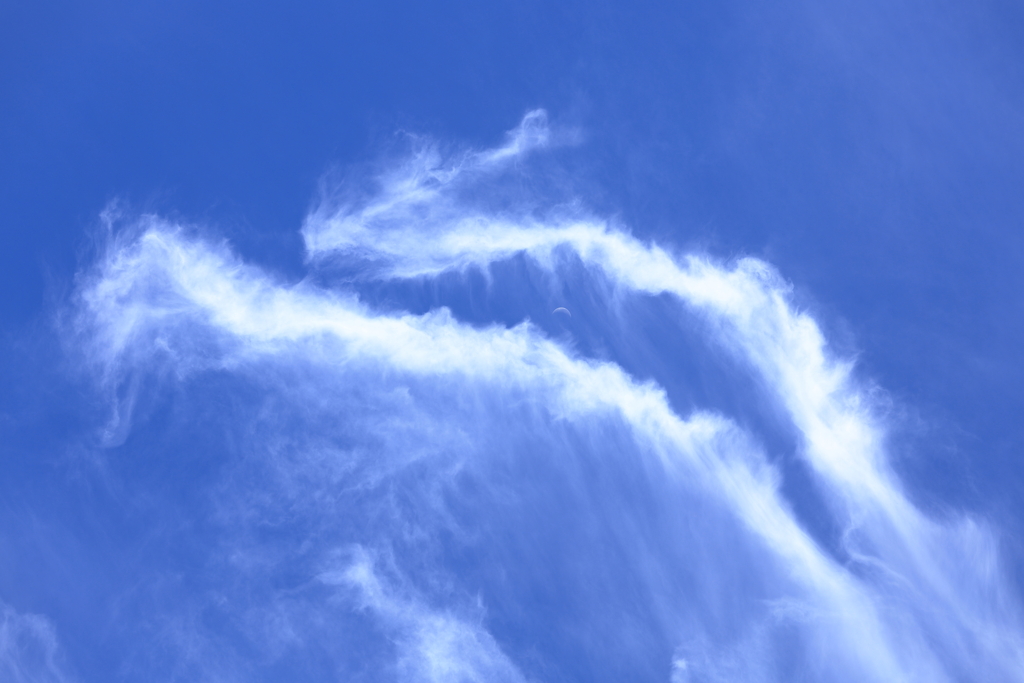 青空250720-560