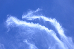 青空250720-560