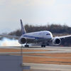 ANA landing 240116-345