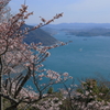 筆影山から(2) 220401-071