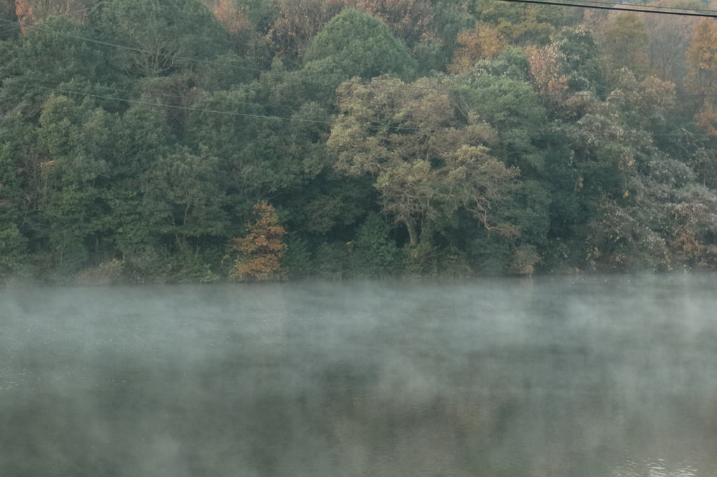 池の霧
