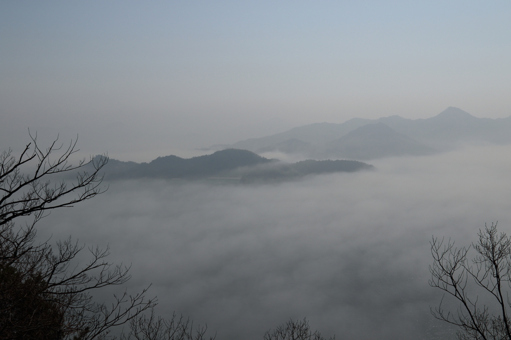 霧の朝 (1) 15.03.17