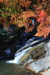 三郎の滝 (4) 221109-2124