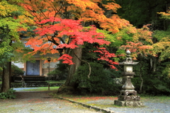 今高野山紅葉(5) 201106-253