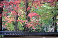 佛通寺(2)  181106-041