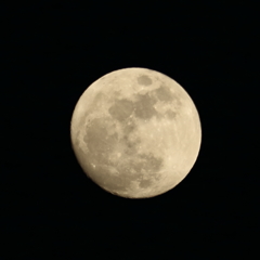 夕方の月 17.01.11