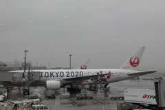 雨の羽田空港(3)  100610-081