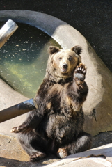 ”リンゴちょうだい！！”　101029-P492-2