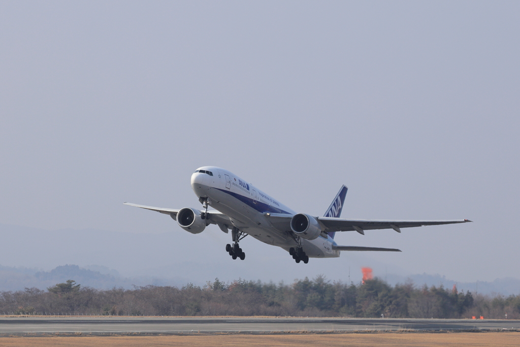 ＡＮA take off (3) 250124-901
