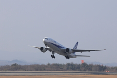 ＡＮA take off (3) 250124-901