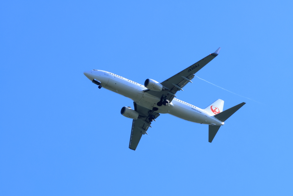降下中のJAL(1)　240823-165
