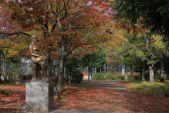 宮浦公園にて (2) 241118-222