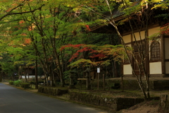 佛通寺 (1) 231102-173