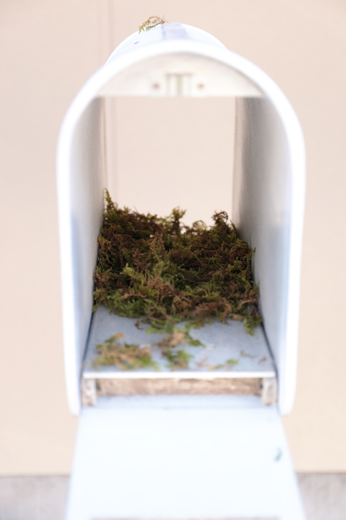 鳥さんからのプレゼント ？180323-