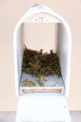 鳥さんからのプレゼント ？180323-