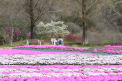 花夢の里(4) 210409-510