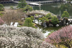 三景園 (2) 250327-816