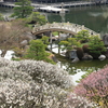 三景園 (2) 250327-816
