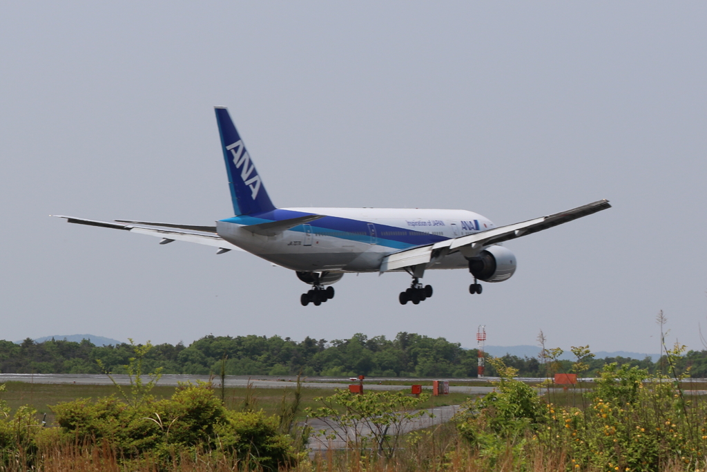 ANA landing (2) 170511-441 rev 