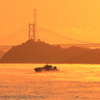 海霧の朝 (3) 240117-376