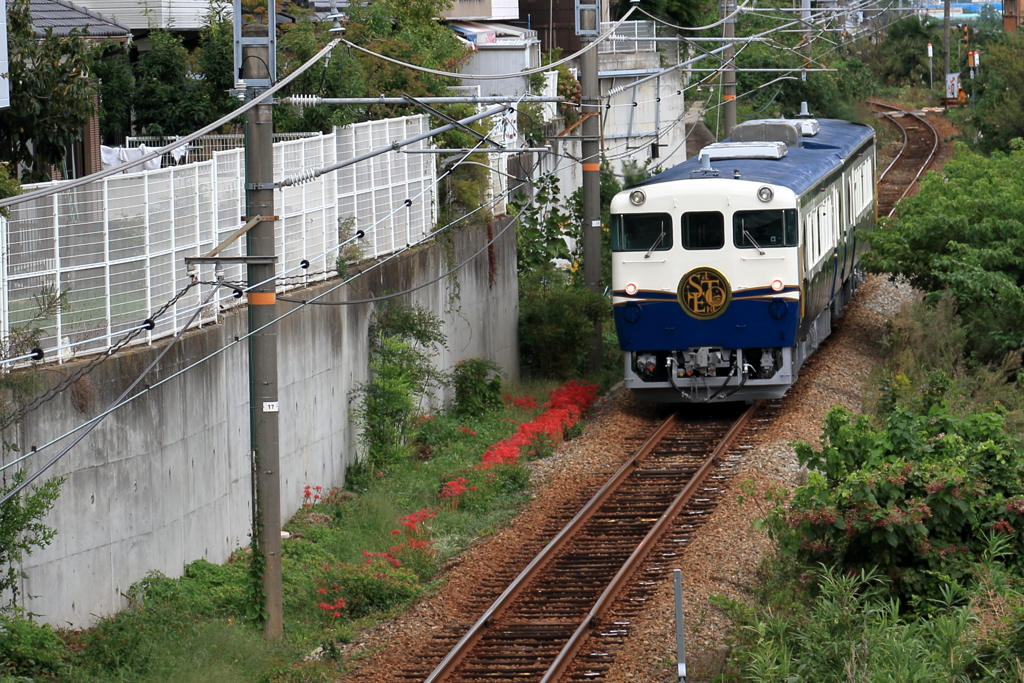 エトセトラ号(2) 202009-904
