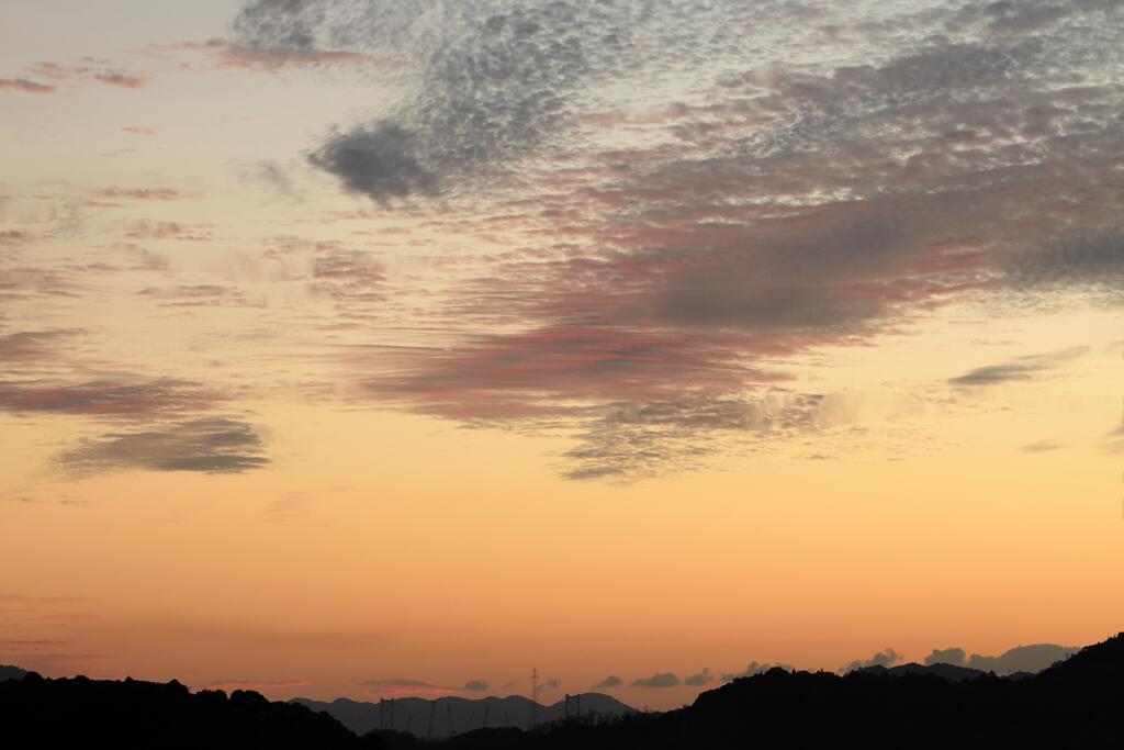 瀬戸内の朝 251111-72