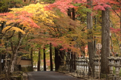 佛通寺(1) 191114-260