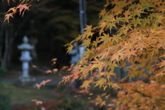 佛通寺 (3) 251130-306