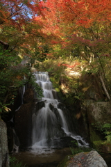 三景園 (3) 251114-139