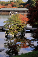 三景園 (4) 251114-147