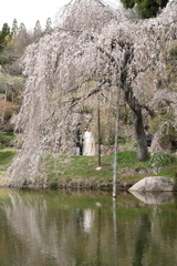 三景園 (5) 250401-833