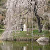 三景園 (5) 250401-833