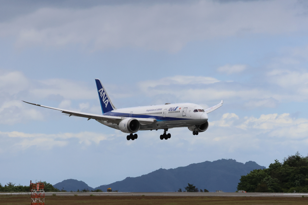 ANA　landing 240516-322