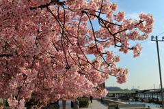 尾道ぶらり旅(1) 200307-065