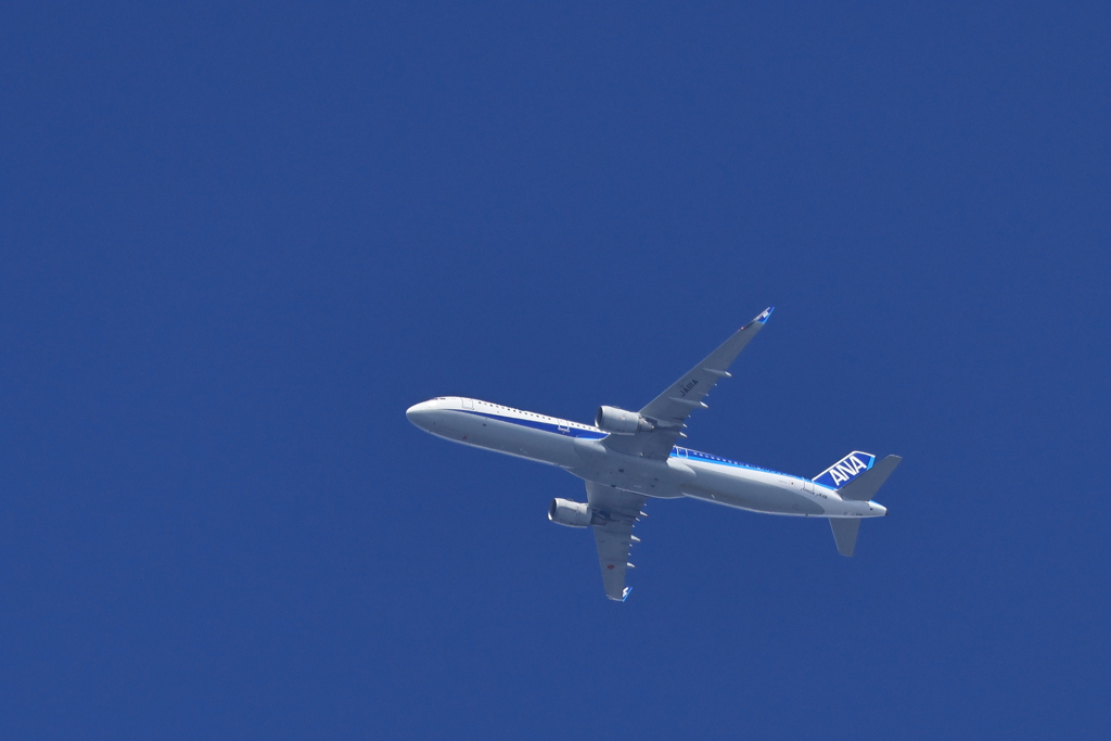 ANA 240930-425