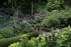 三景園 (3) 250625-425