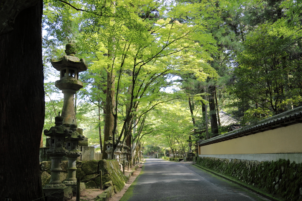 紅葉前の佛通寺(1) 170921-