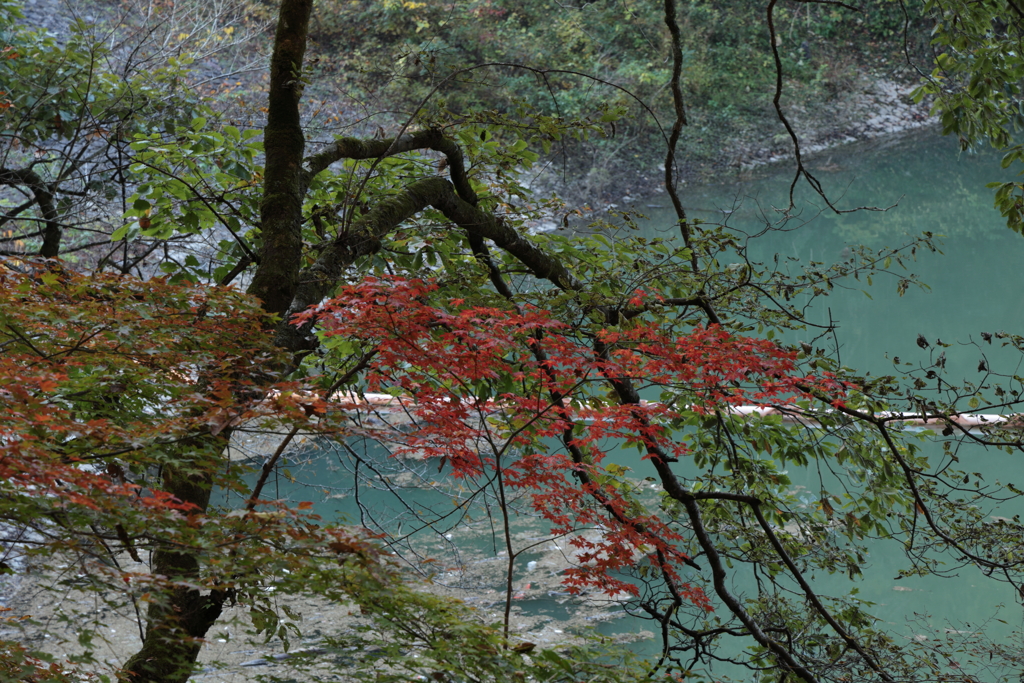 帝釈峡 (1) 241113-160