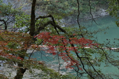 帝釈峡 (1) 241113-160