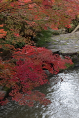 三郎の滝 (2) 251111-89