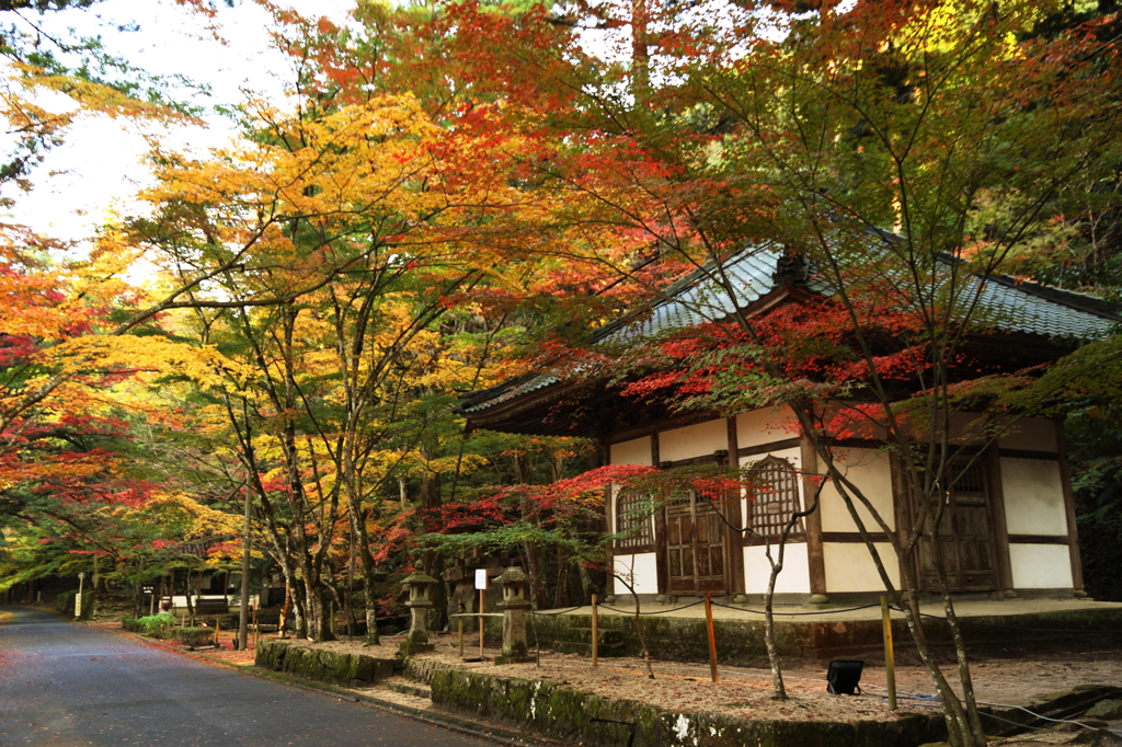 仏通寺(1) 14.11.10