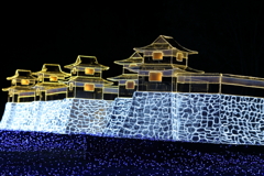 Winter Illumination(2)16.11.11