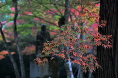 佛通寺(2) 16.11.16