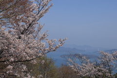 筆影山から (4) 250409-008