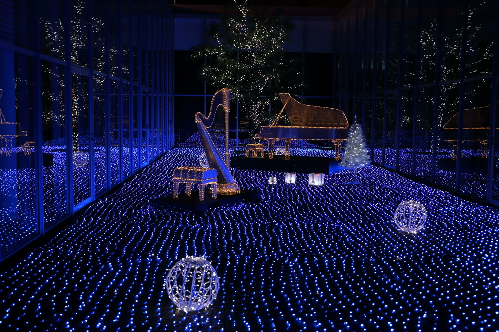 Winter Illumination (2) 15.12.22