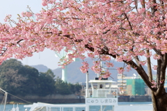 尾道海岸通り (2) 250321-854
