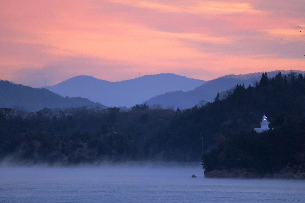 海霧の朝 251231-784