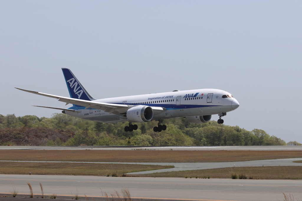ANA landing 230413-384
