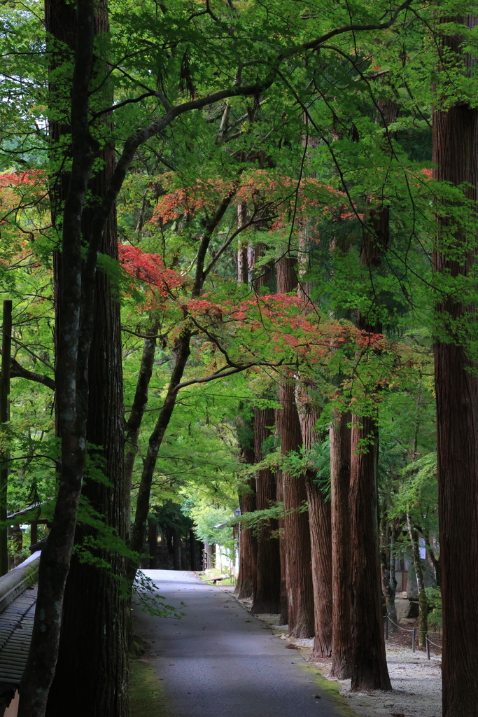 佛通寺 (1) 231006-4076